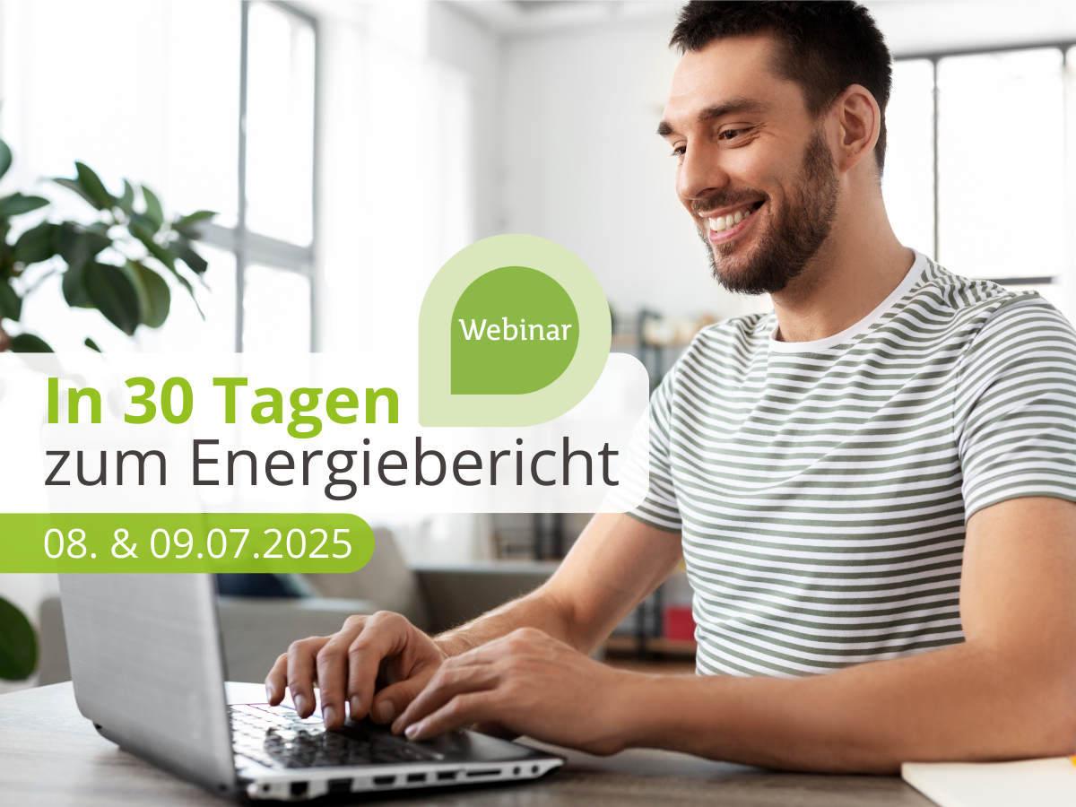 pixometer.io Störer Webinar-Reihe In 30 Tagen zum Energiebericht